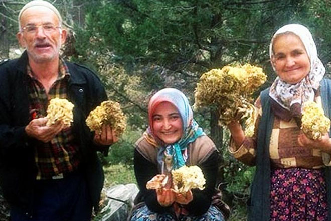 Karaman’da Yanlışlıkla sihirli mantar yiyen ailenin başına gelmeyen kalmadı