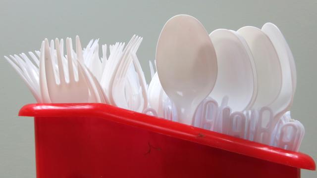 “Tek Kullanımlık Plastik Ürünlerin Çevre Üzerindeki Etkisinin Azaltılmasına İlişkin Tüzük” Resmi Gazete’de yayımlandı… Tüzük 6 ay sonra yürürlüğe girecek